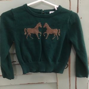 Horse sweater